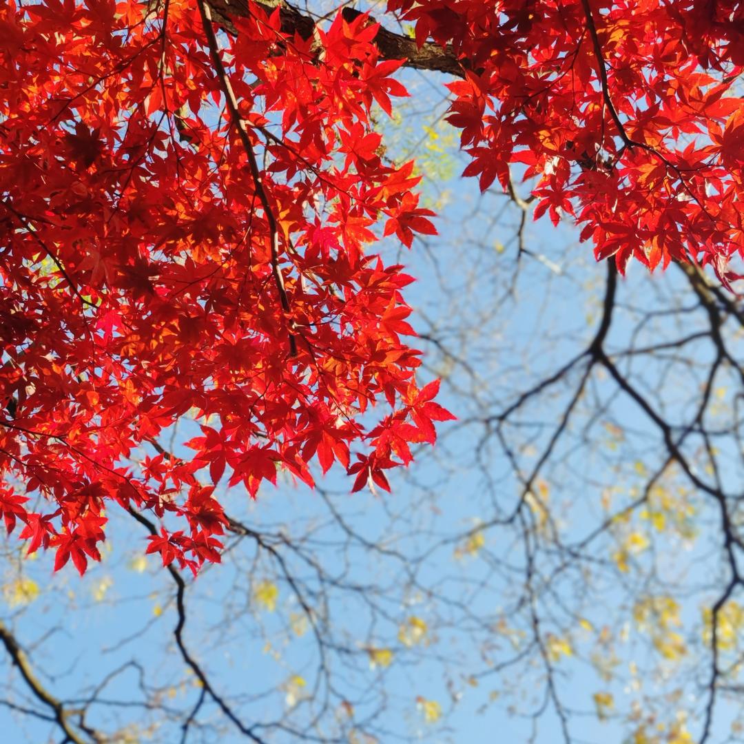 纵享人生严选生活坊