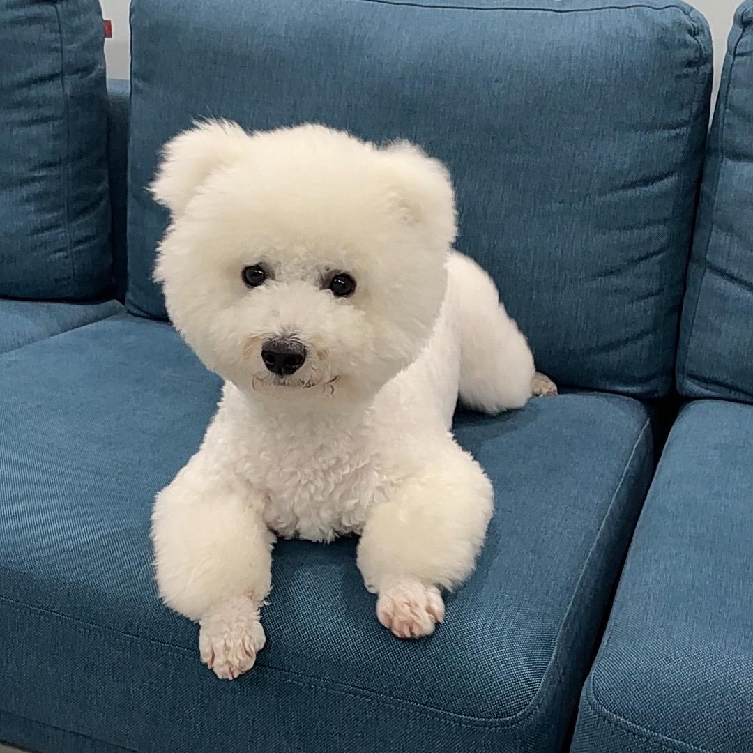 @人嘛！总是会变的