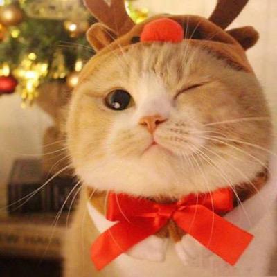 无处安放的灵魂