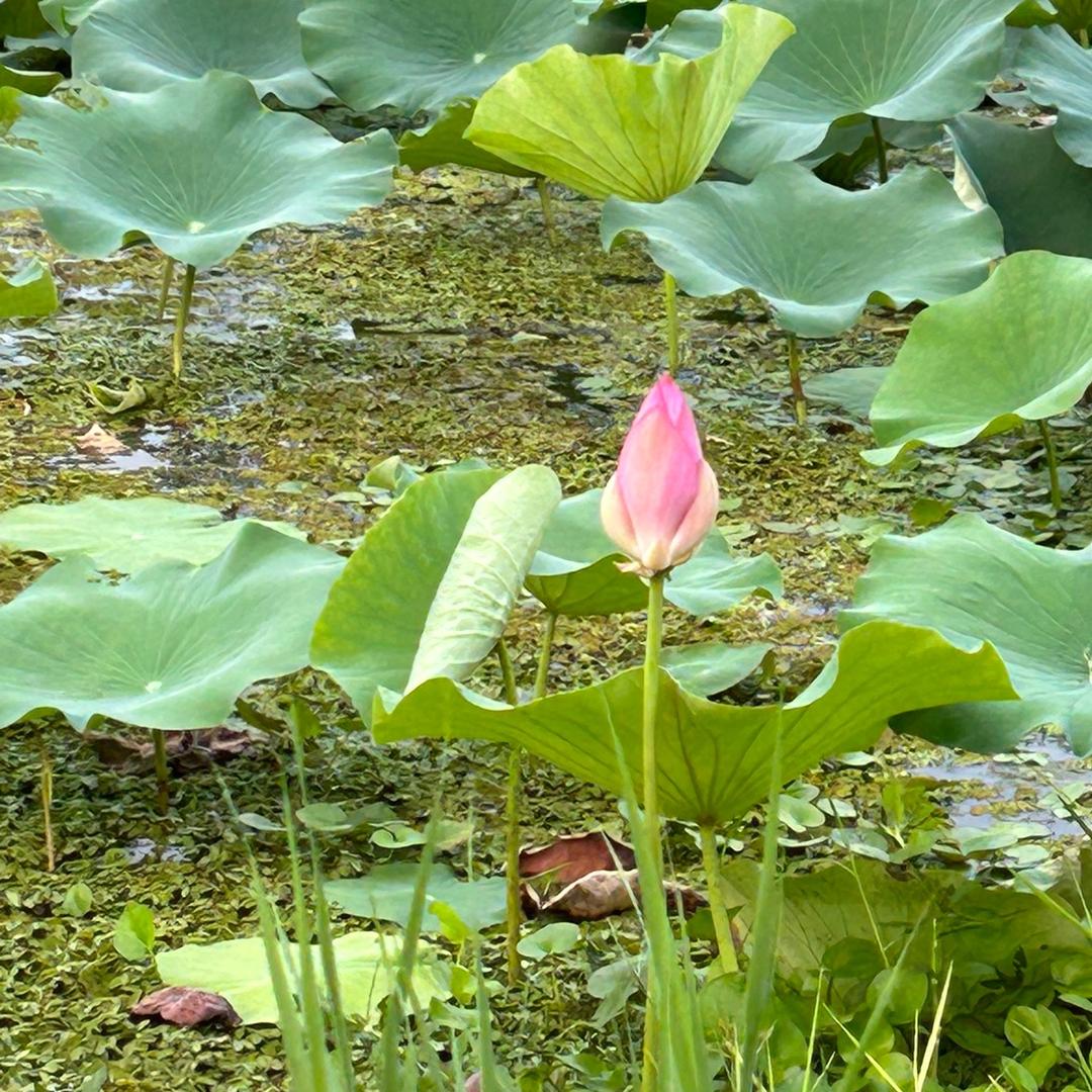 一路向阳🌻🥇