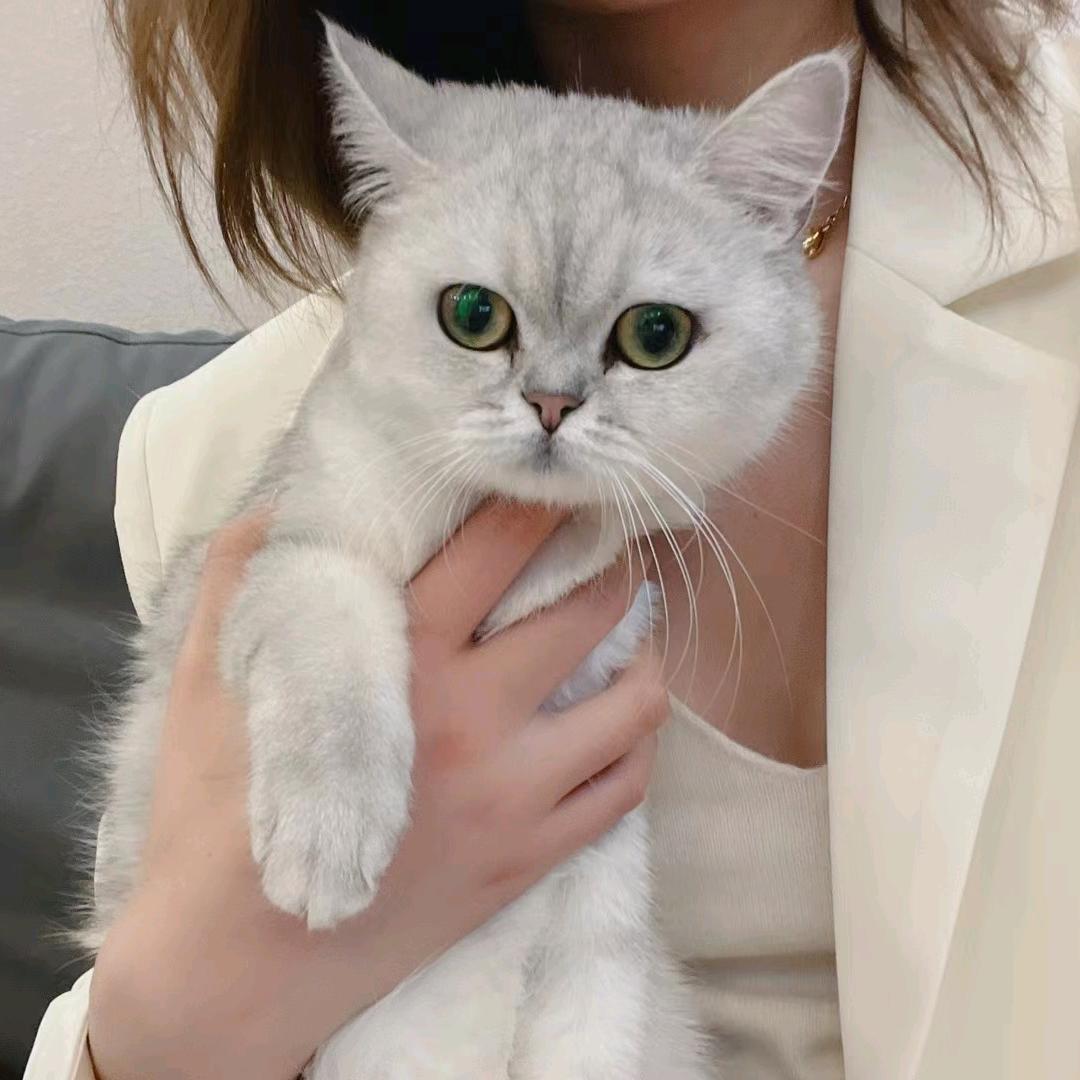 雪墨~