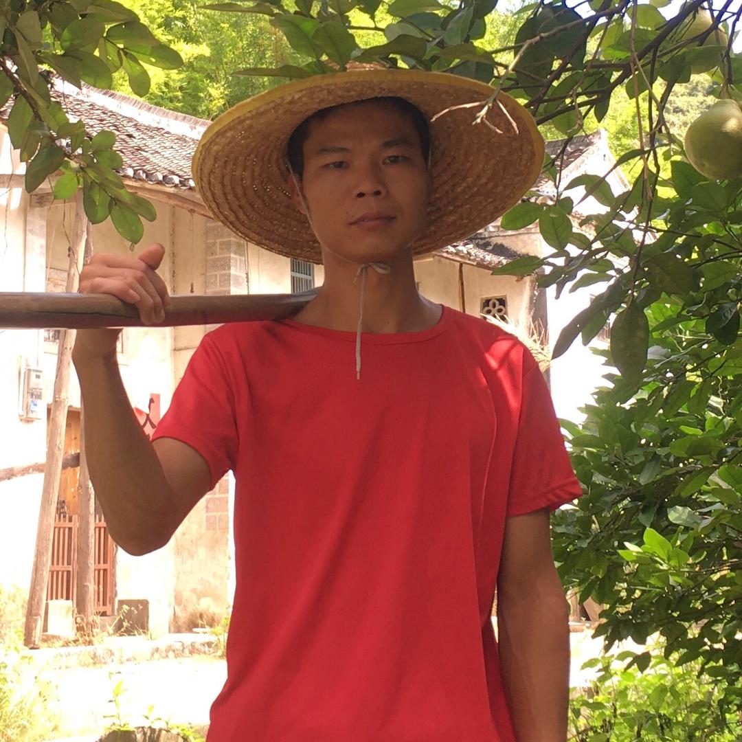 阿牛哥游记