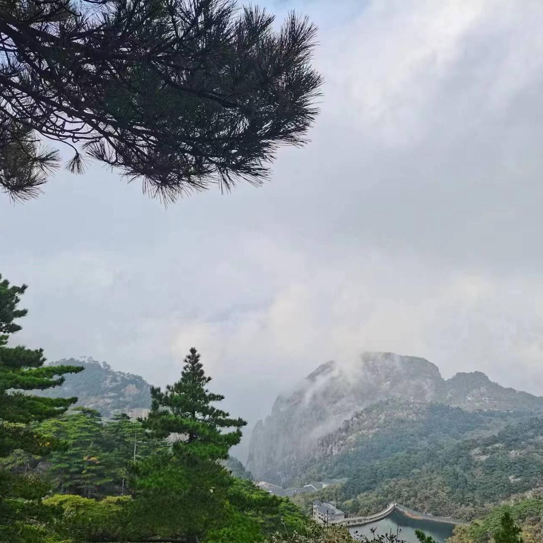 柠檬可乐