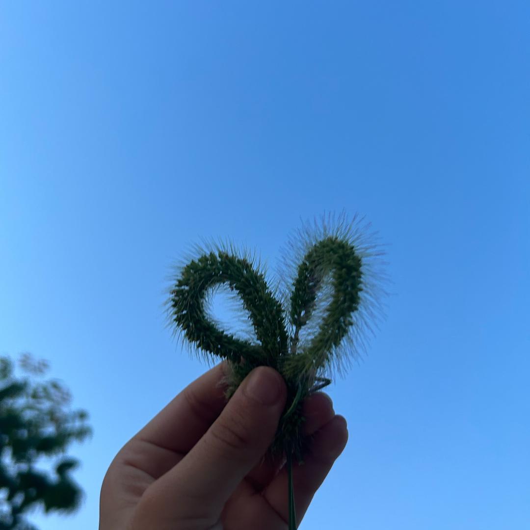 @萍萍@