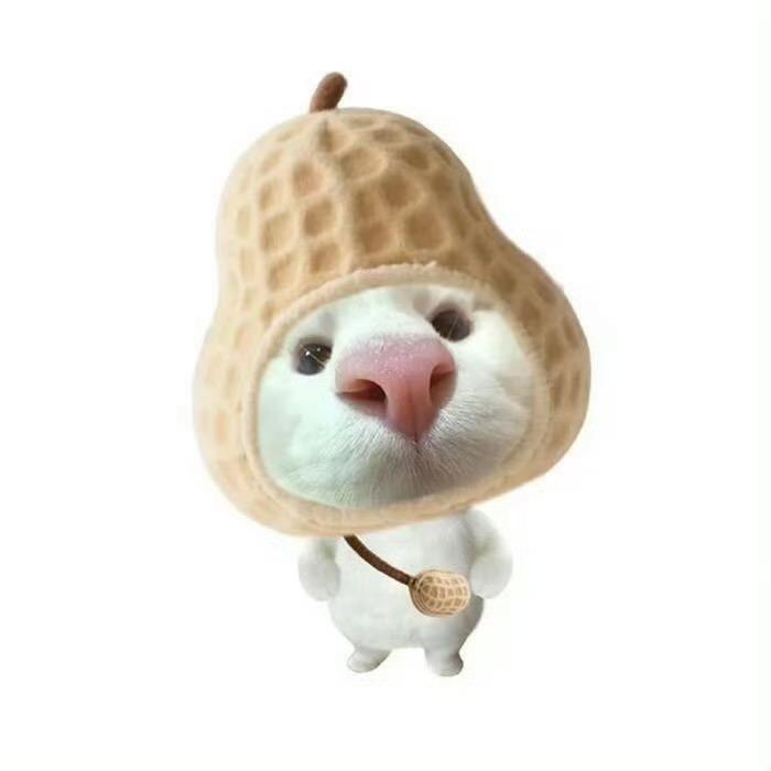 凌晨三点马又闯入我家偷走猫咪的屎盆子🍔