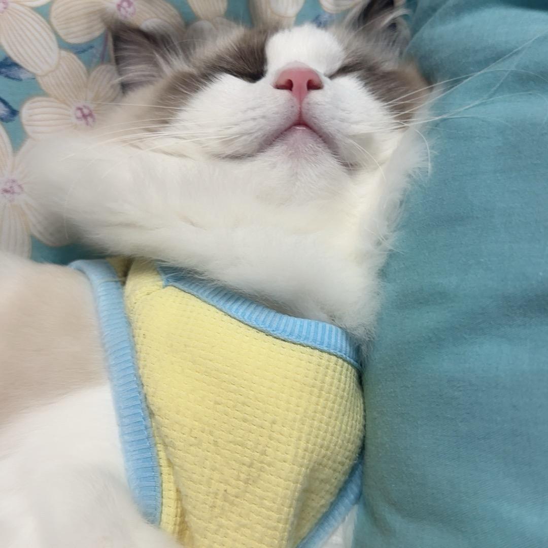 এ᭄繁华༊