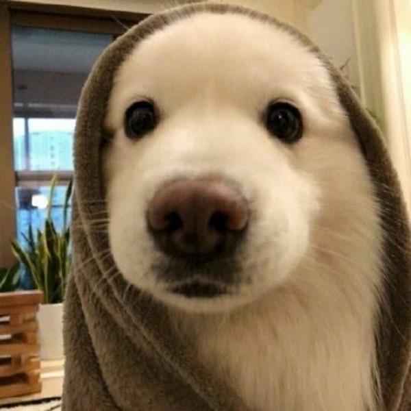 馨义微酒店严选好货店