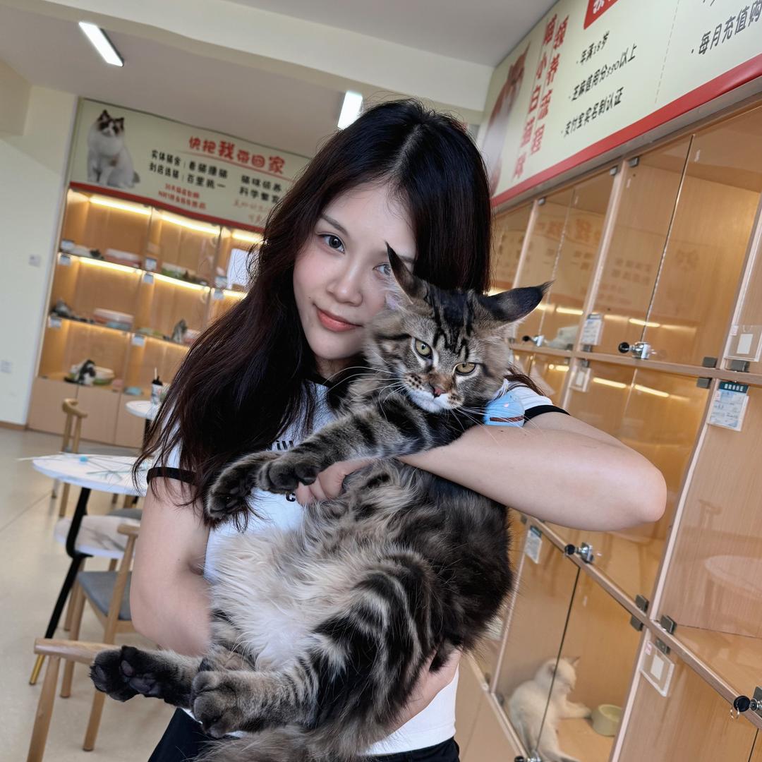 宠小白萌宠喵白白