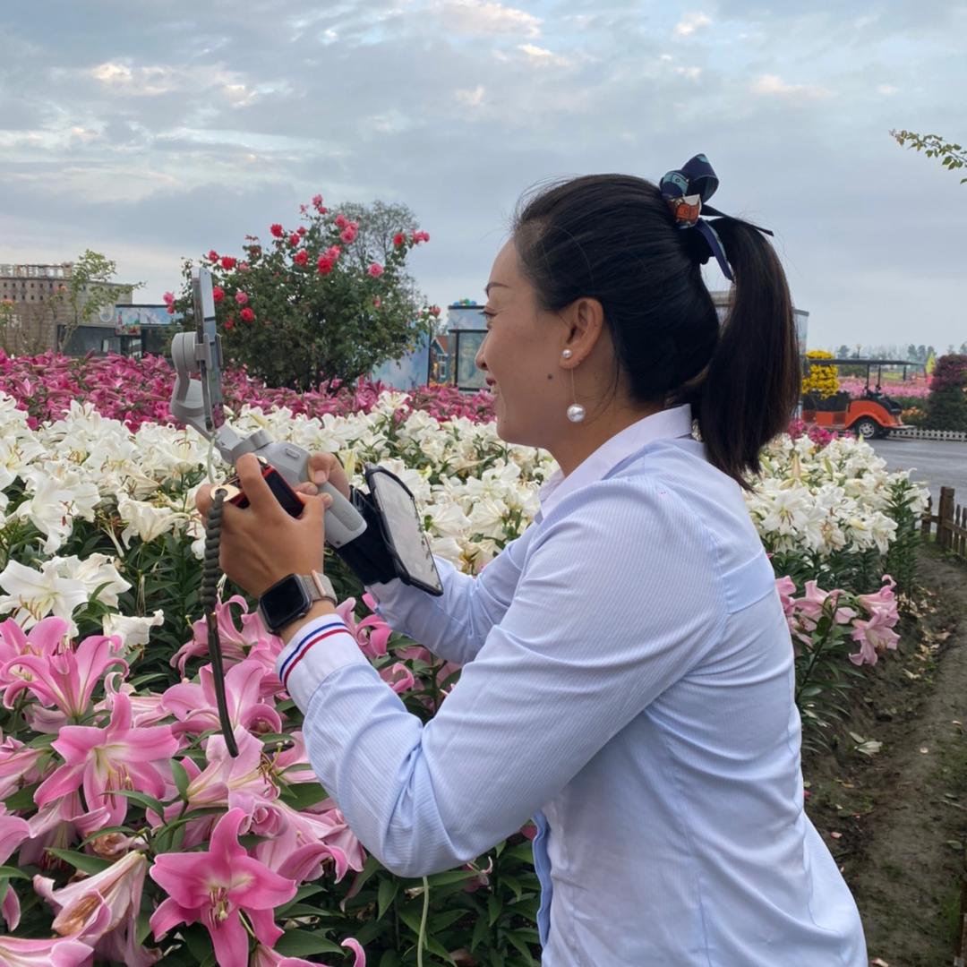 荷兰花海潘老师