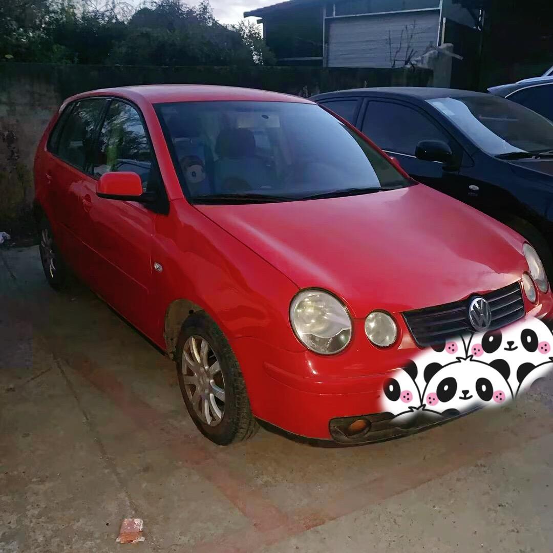 我与小菠萝的初遇🚗