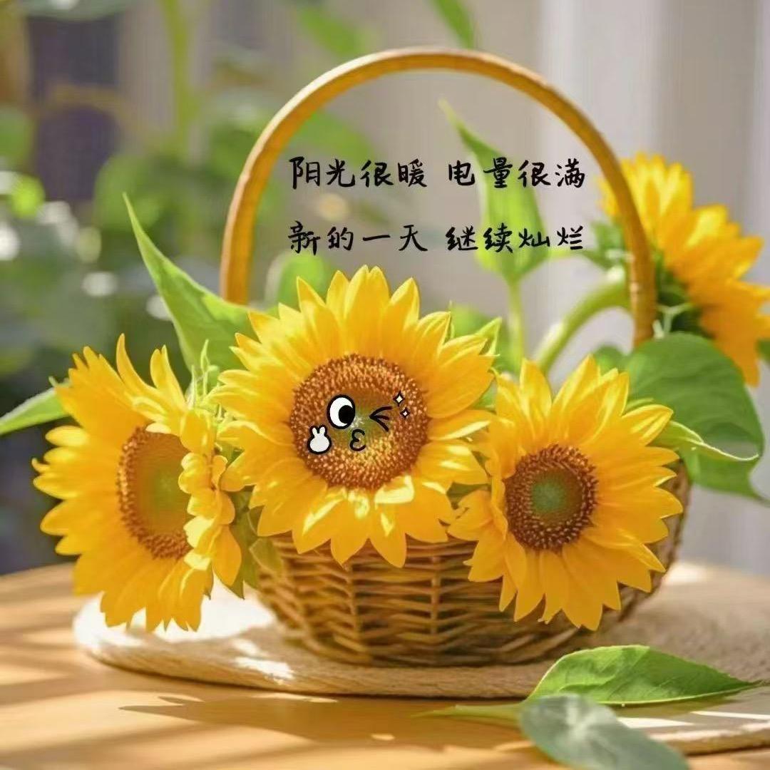 回味依衣龙首一店