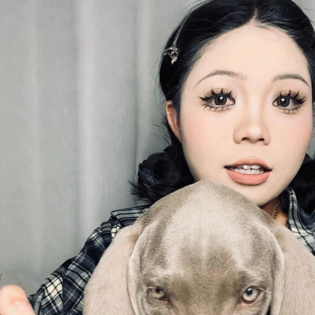 迪迪是我