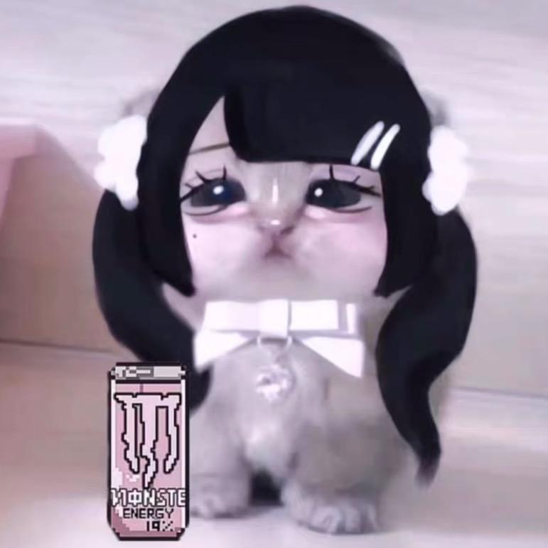 小獭咪