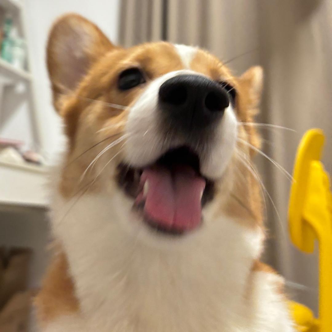 @诶呀仔仔～