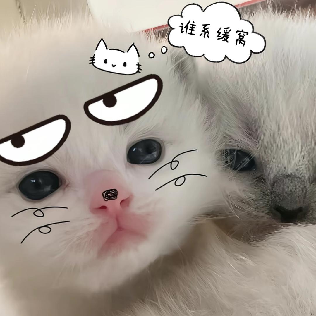 点推荐把我送你了