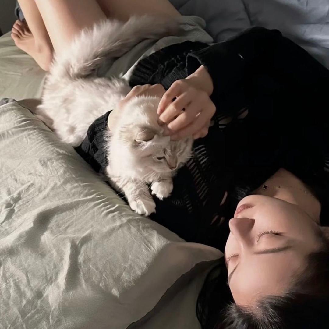 听 风  讲.