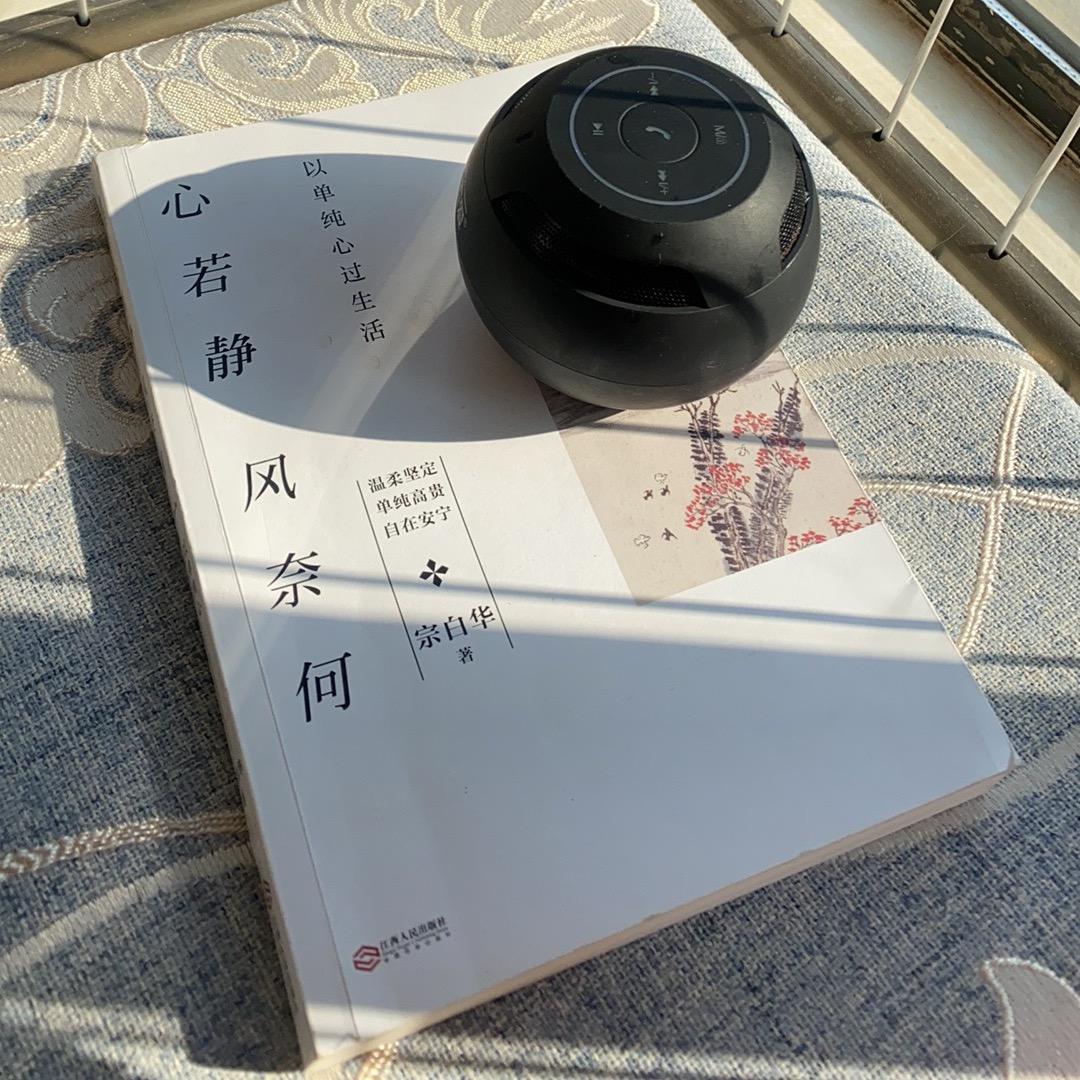 云宝