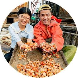 三胞胎兄弟海鲜