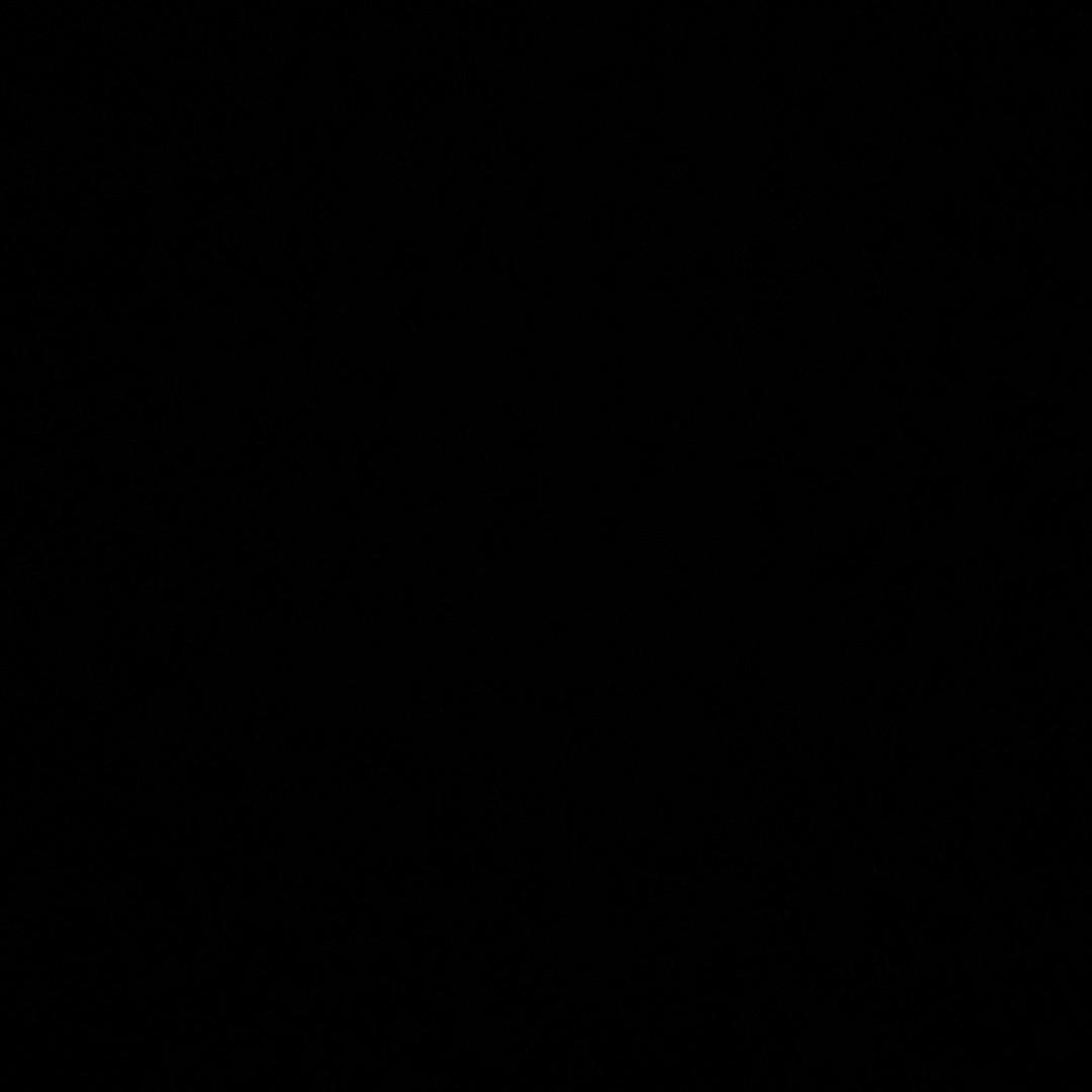 zh