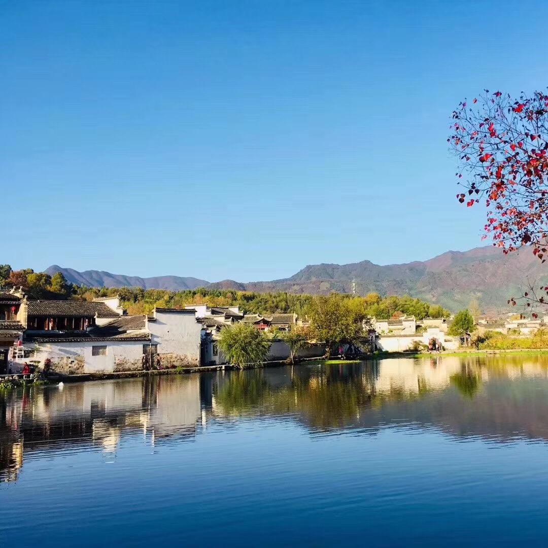 钩魂拌面---拌面世家