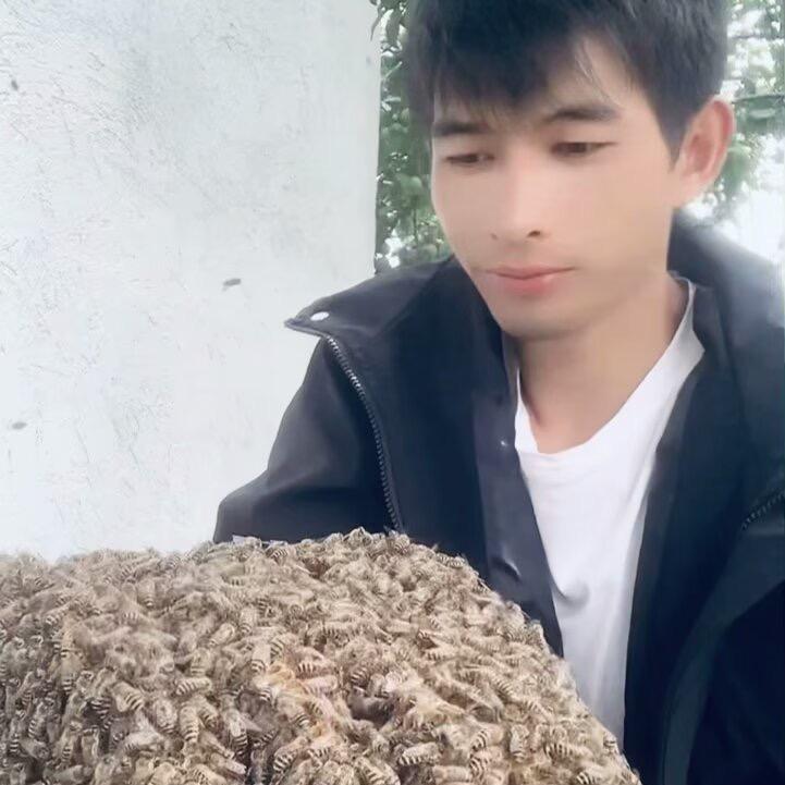 云南蜂业李云柱