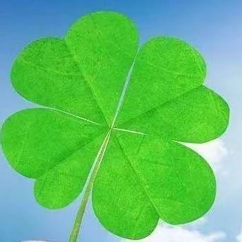 凤凤妈好物推荐