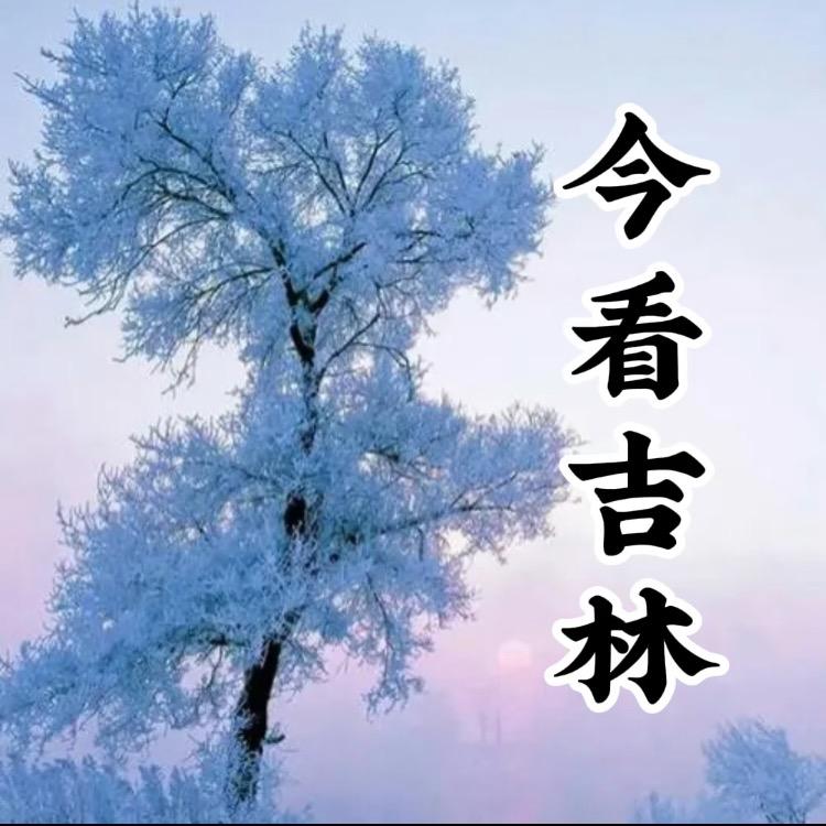 今看吉林