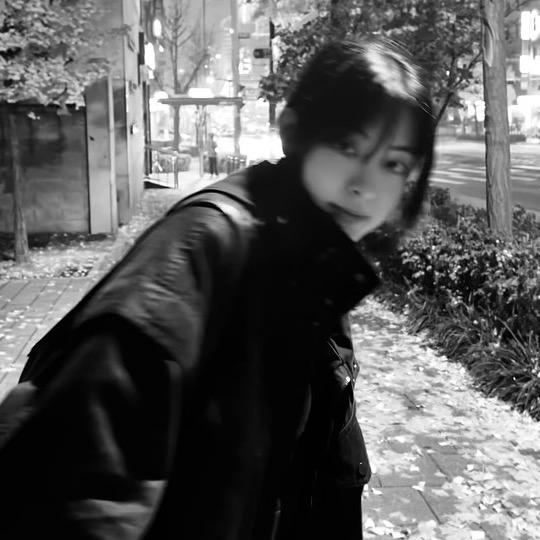 我的电子小猫呢