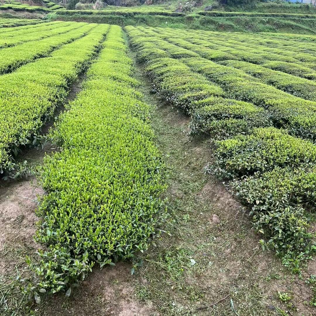 农技匠生物