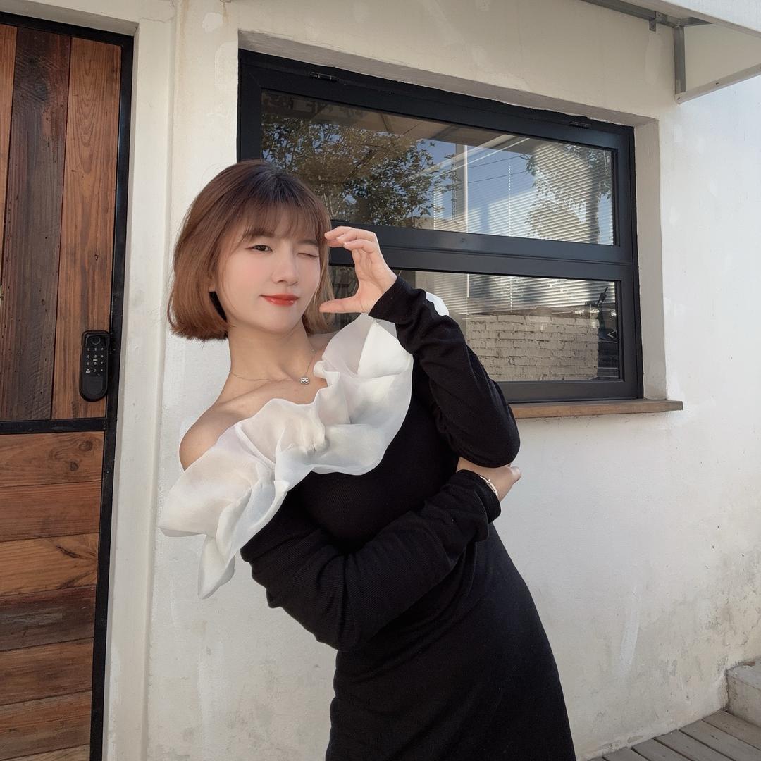 🍋 真寶有2只猫🐈