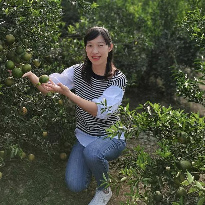 新会陈皮茶业(丽姐)