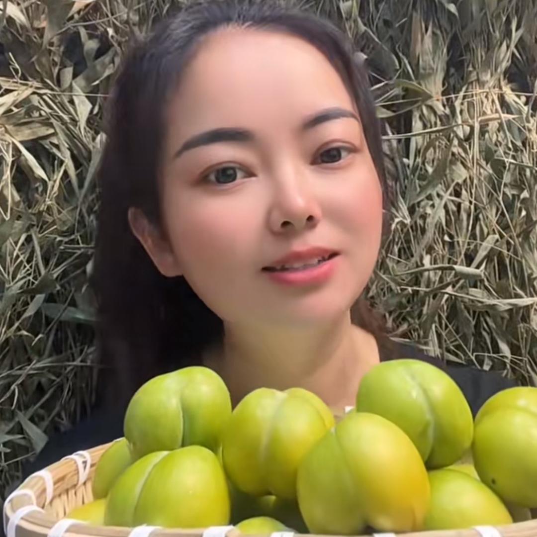 贵州农家味  燕子