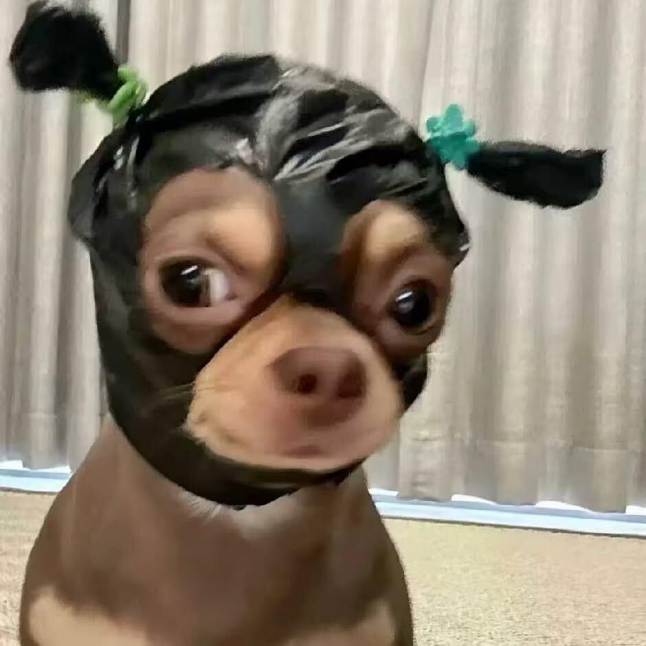 狐尼克Do🤪