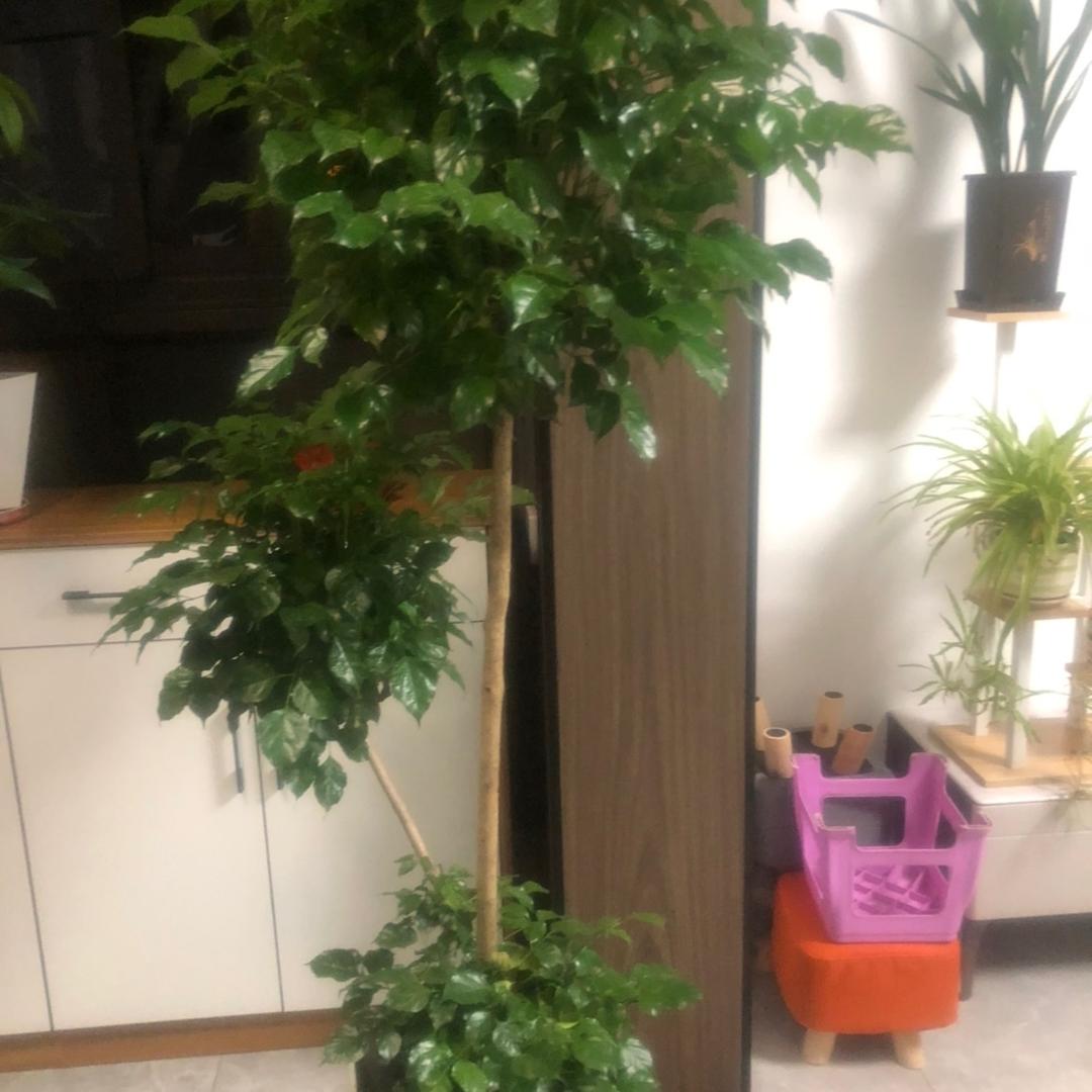 心态来自满足