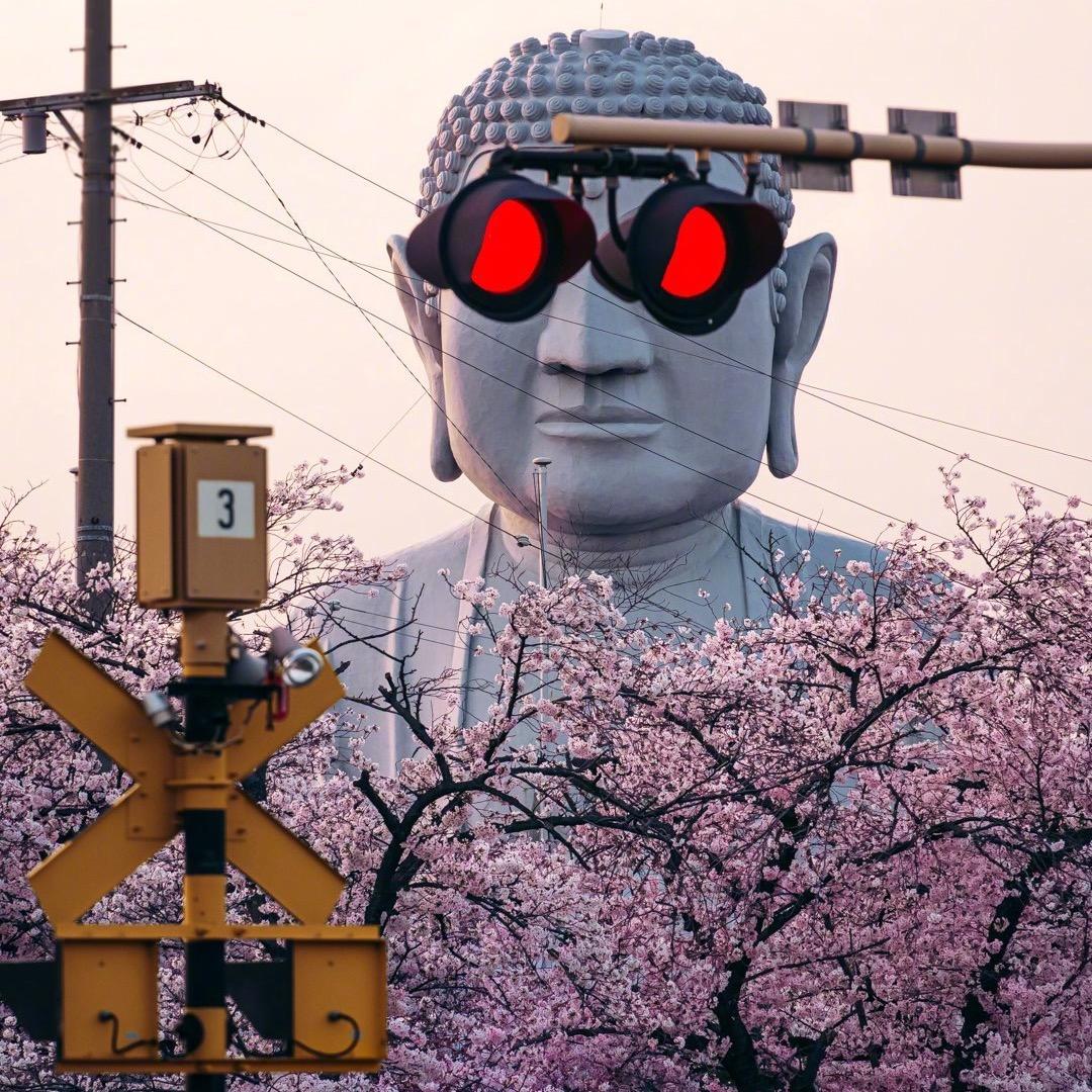 穿林打葉