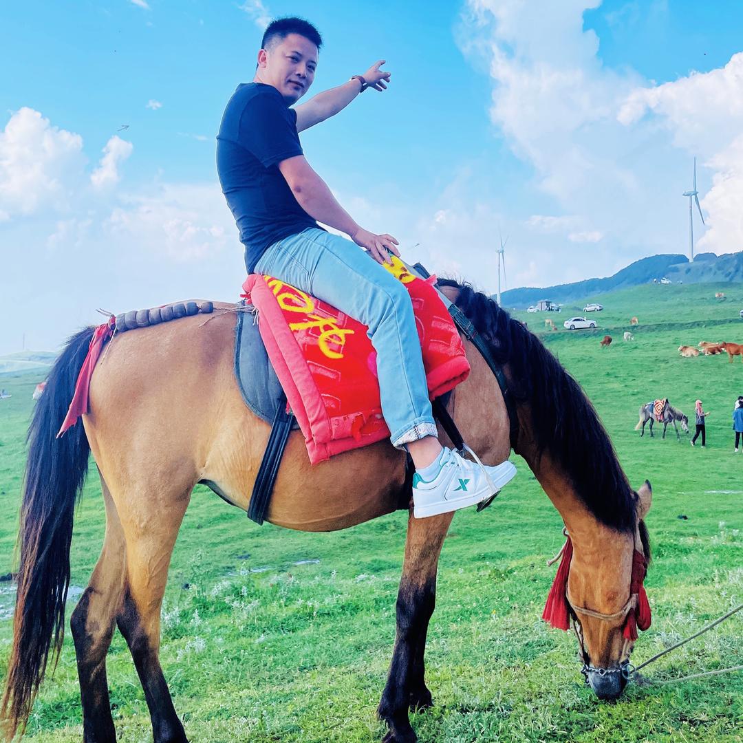 qin毅