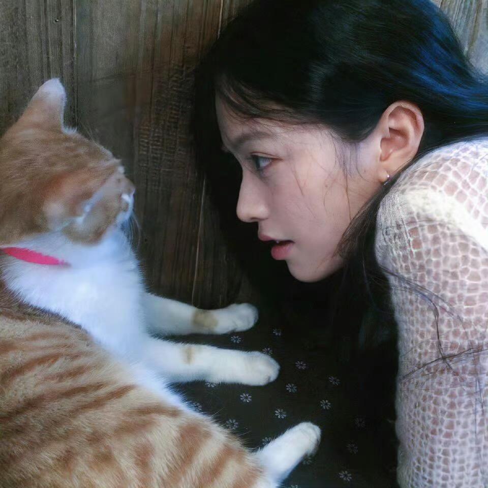 Hello 鱼鱼