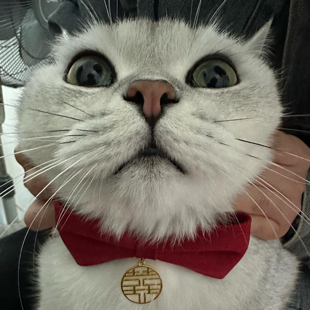 小博士幼儿园中班班长