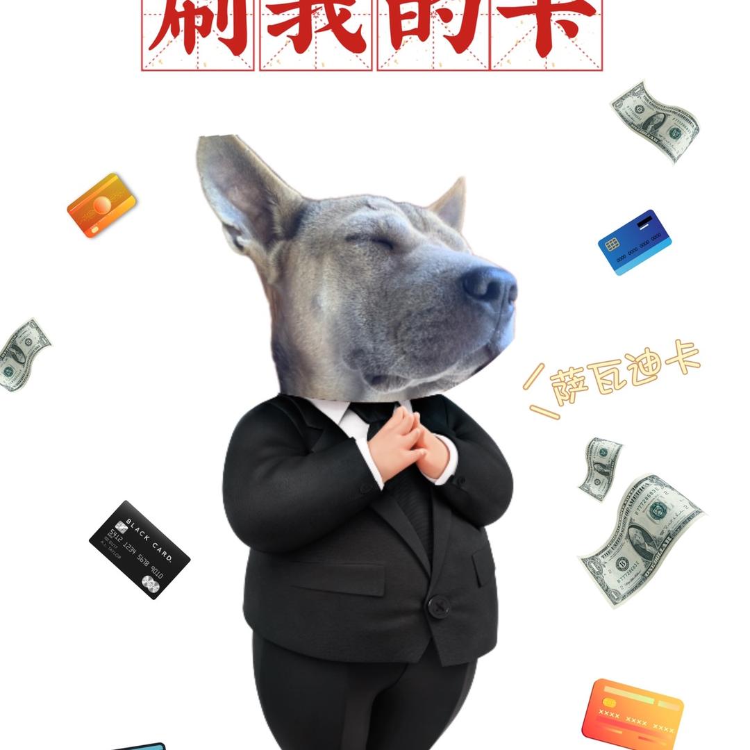 皮皮狗狗