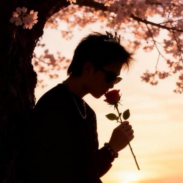 宁波素文豪车租赁🚗四维