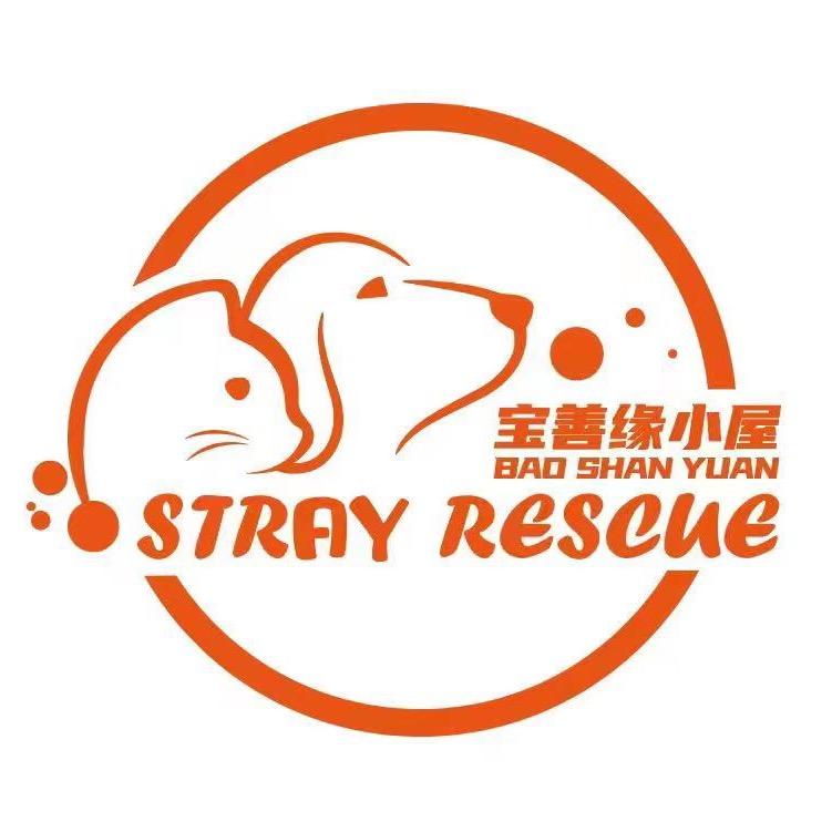 宝善缘小屋（为流浪猫找家）