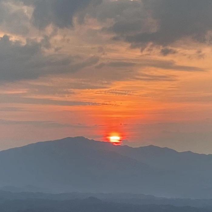 明天见……