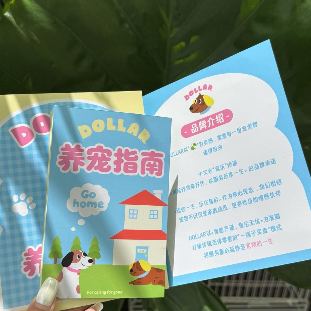 厦门Dollar逗乐萌宠1号