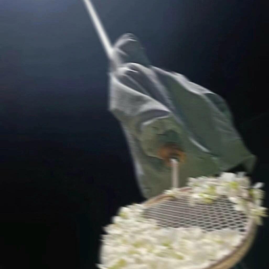 锦尤下羽季🏸