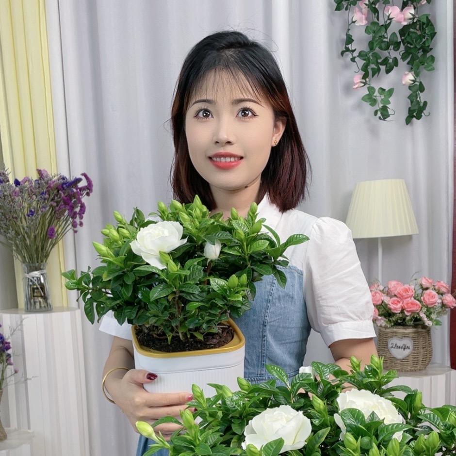 花艺云朵☁️