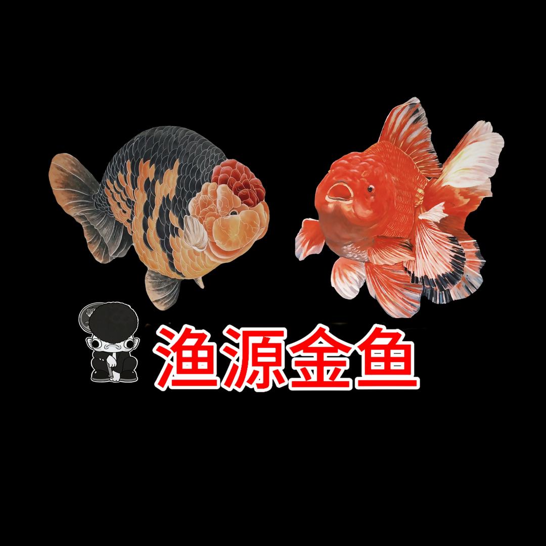 渔源鱼业