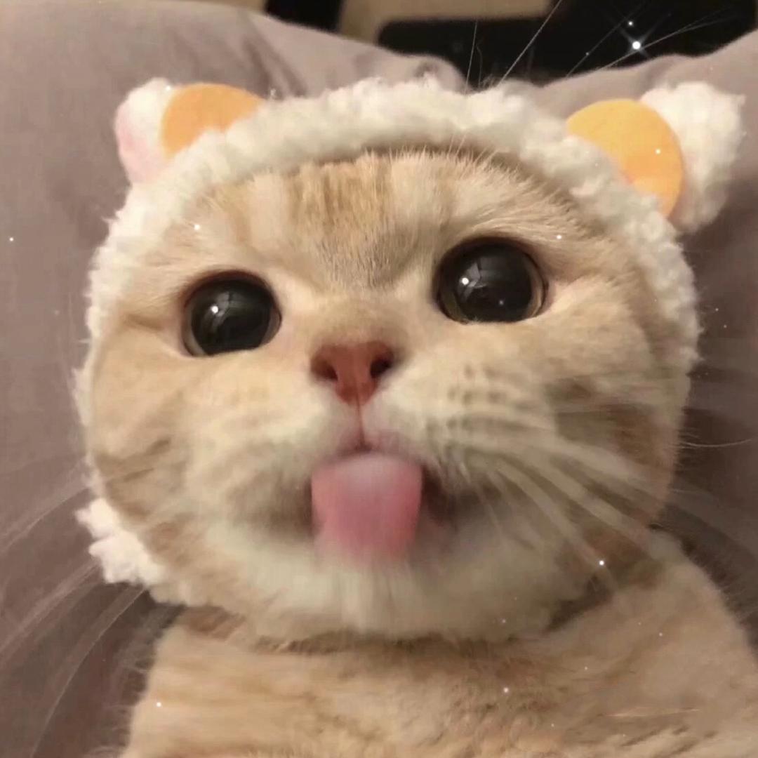 咕噜咕噜～