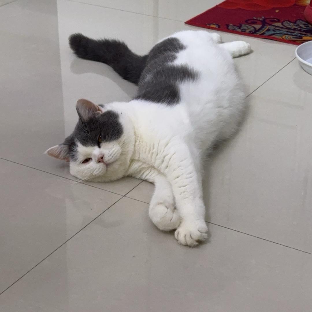 我不⁴小哭包