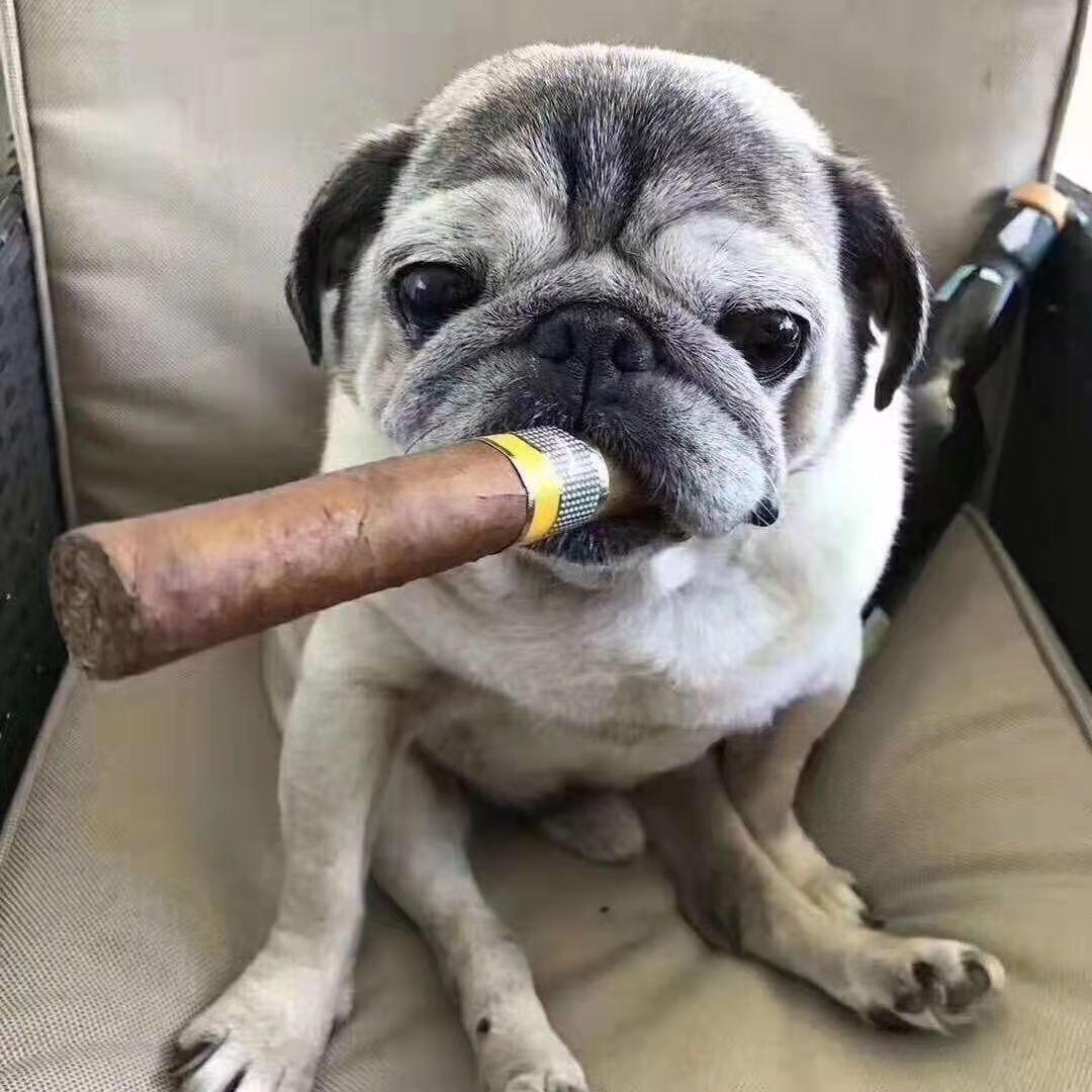 🦒💨