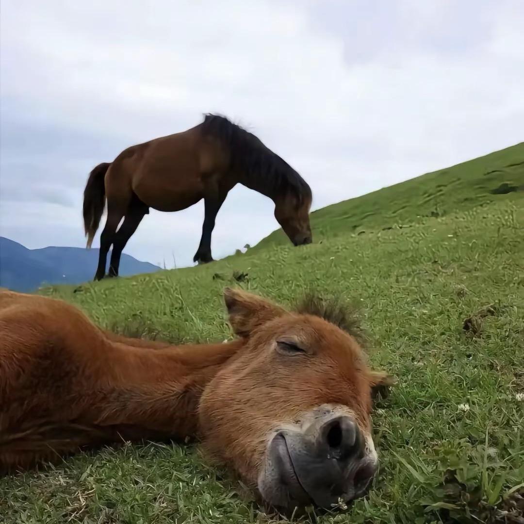 zzzzz